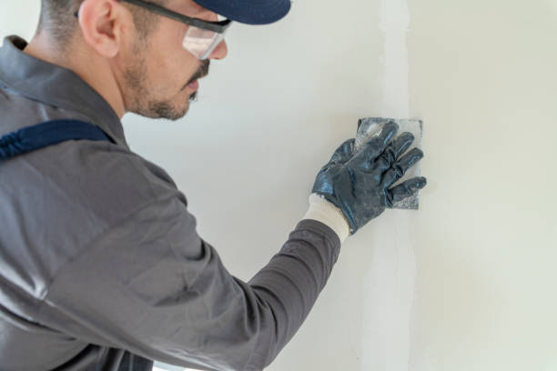 Best Mold Removal for HVAC Installations  in Juno Beach, FL