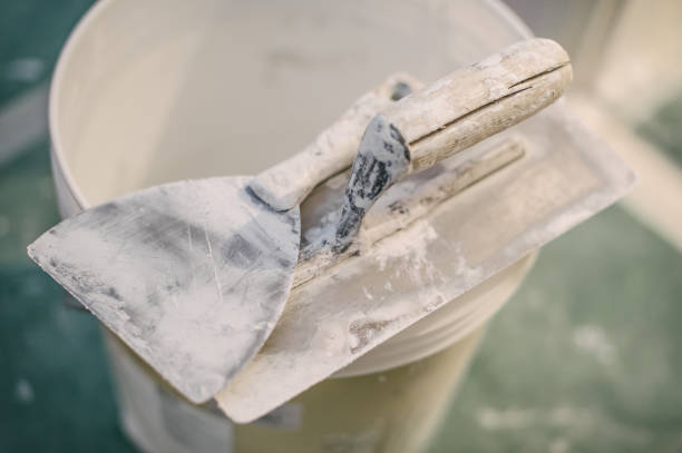 Best Asbestos and Lead Testing During Mold Inspection  in Juno Beach, FL